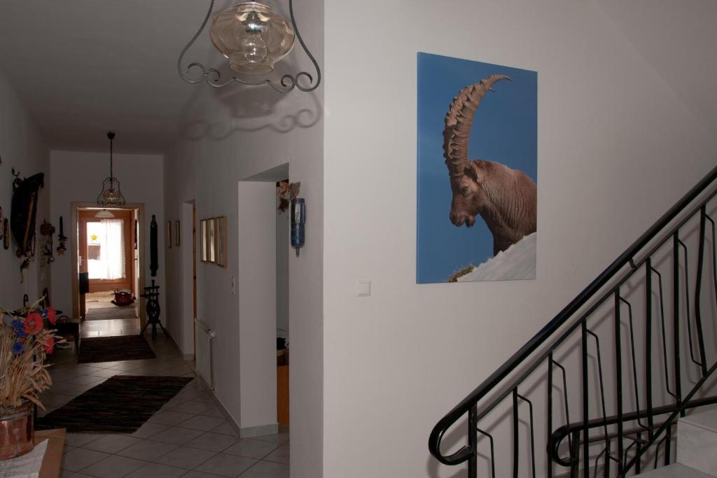 Appartements Schmalzerhof Gries im Sellrain Kültér fotó